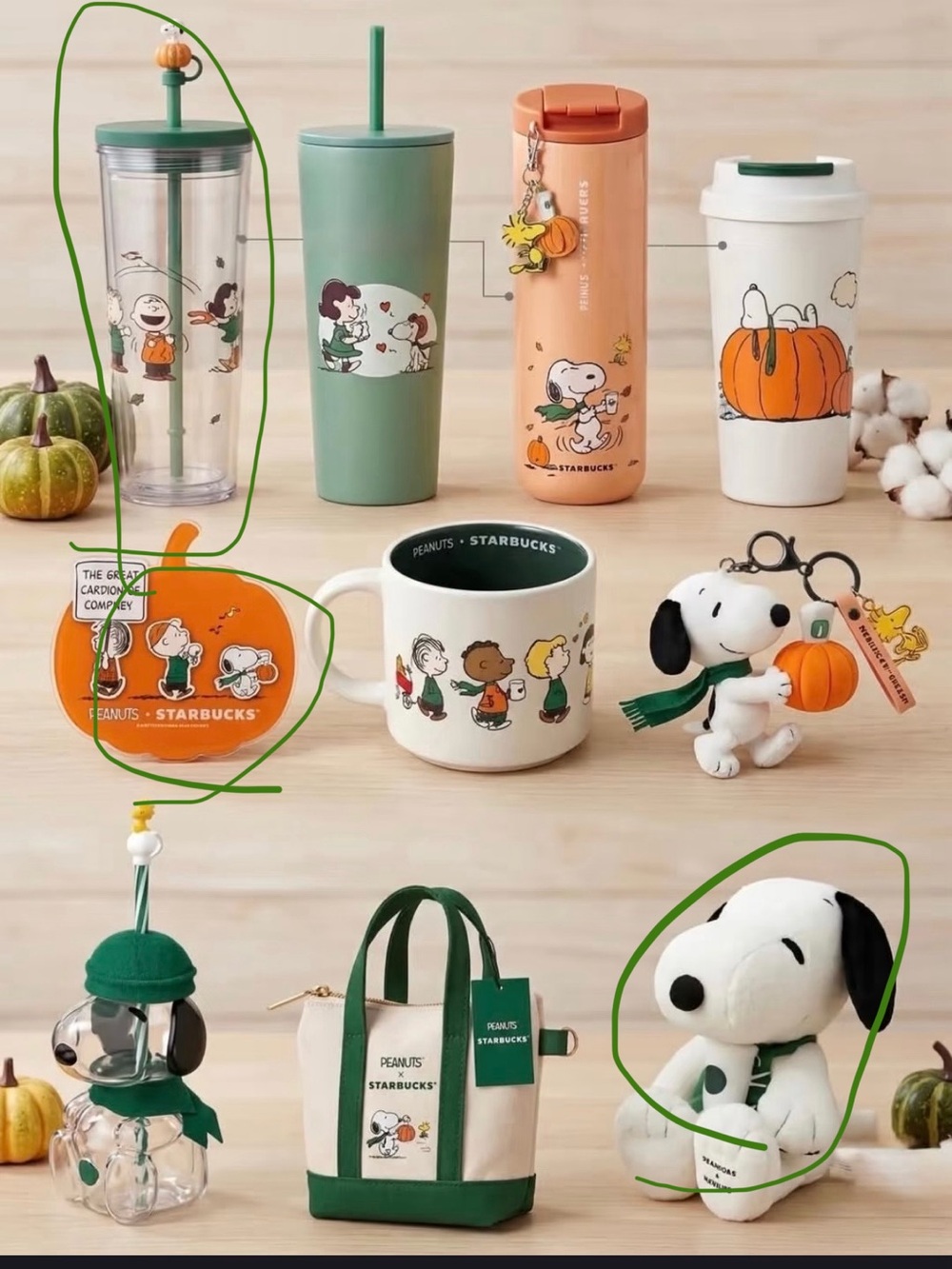 Starbucks Snoopy Plush Buddy - White & Black with Green Scarf